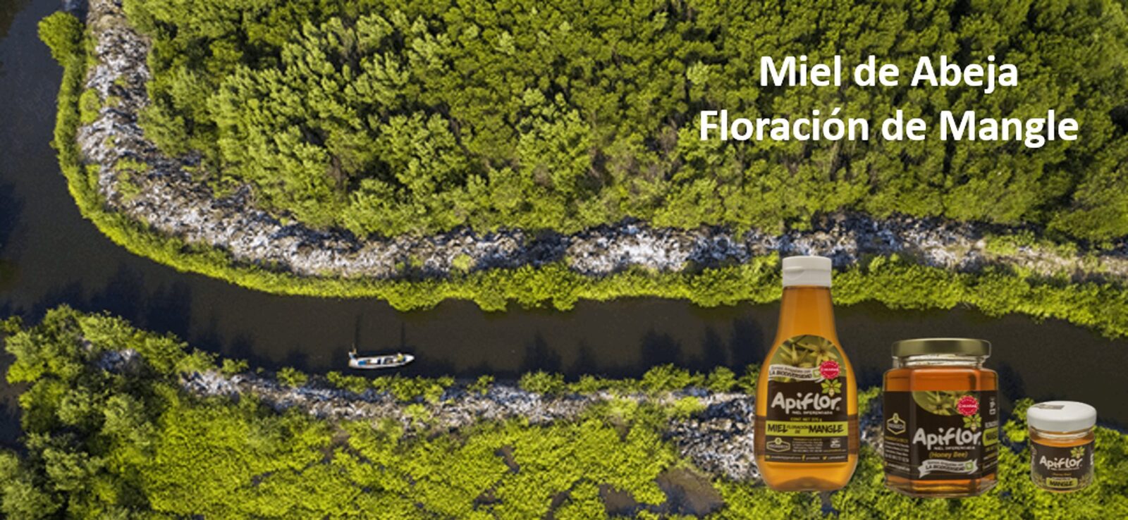 Miel de Abeja Floración de Mangle