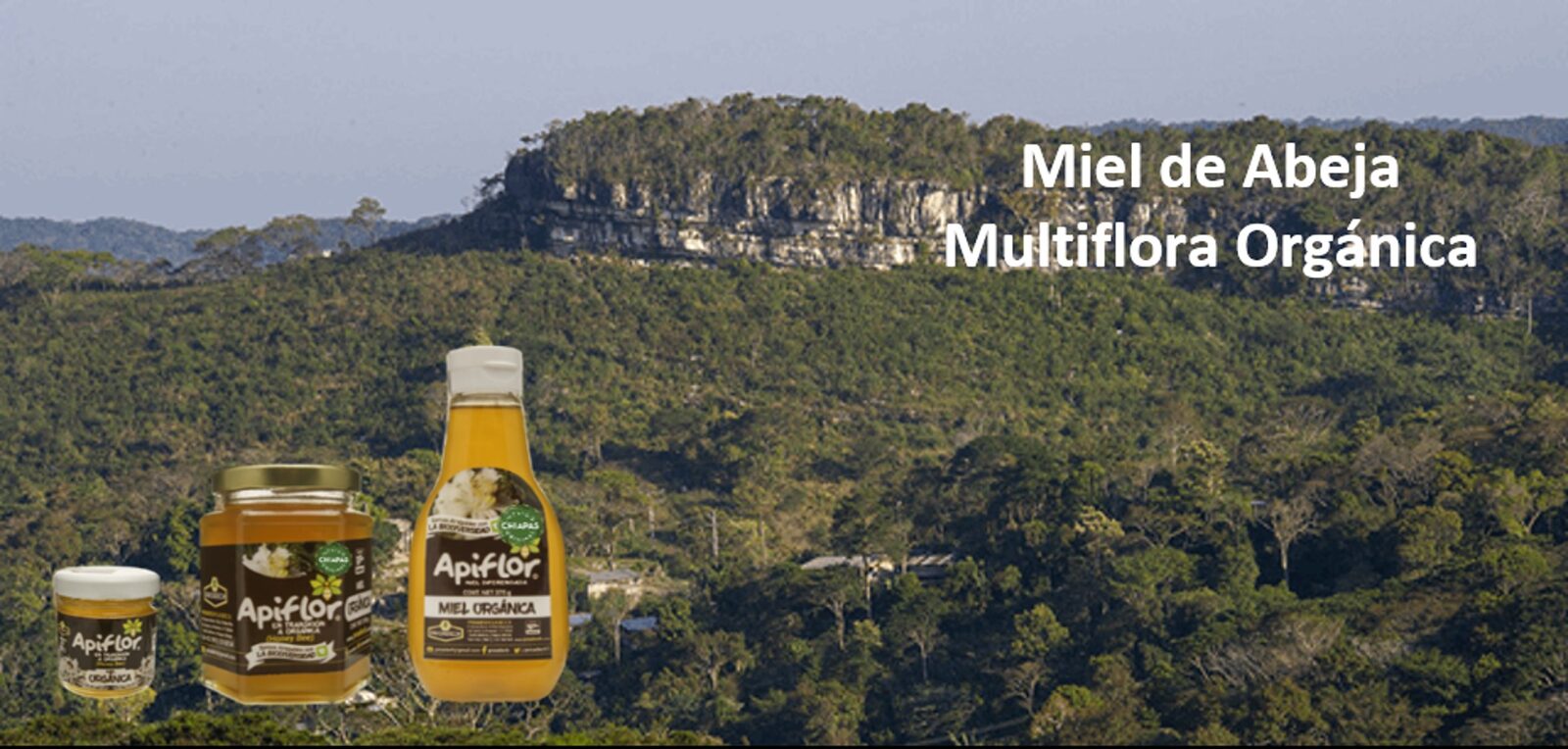 Miel de Abeja Multiflora Orgánica
