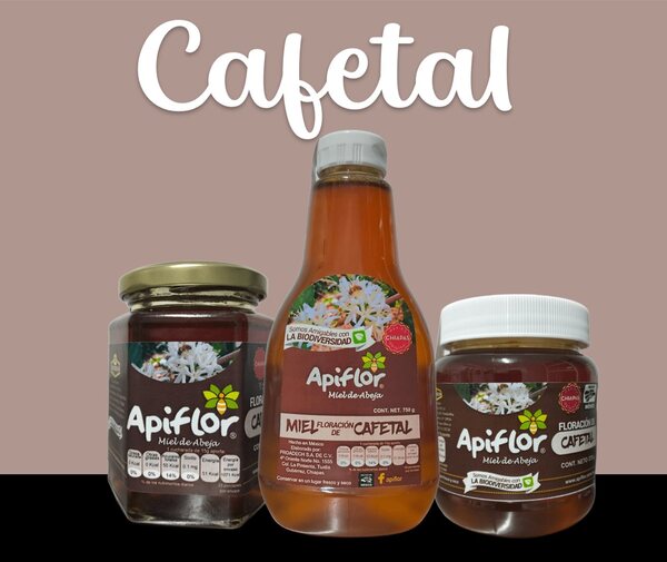Miel Floración Cafetal