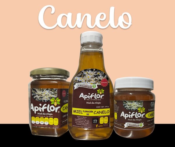 Miel Floración Canelo