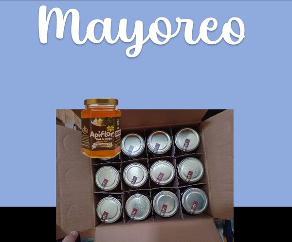 Mayoreo
