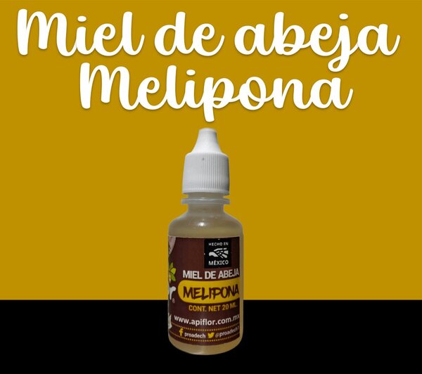 Miel de Abeja Melipona