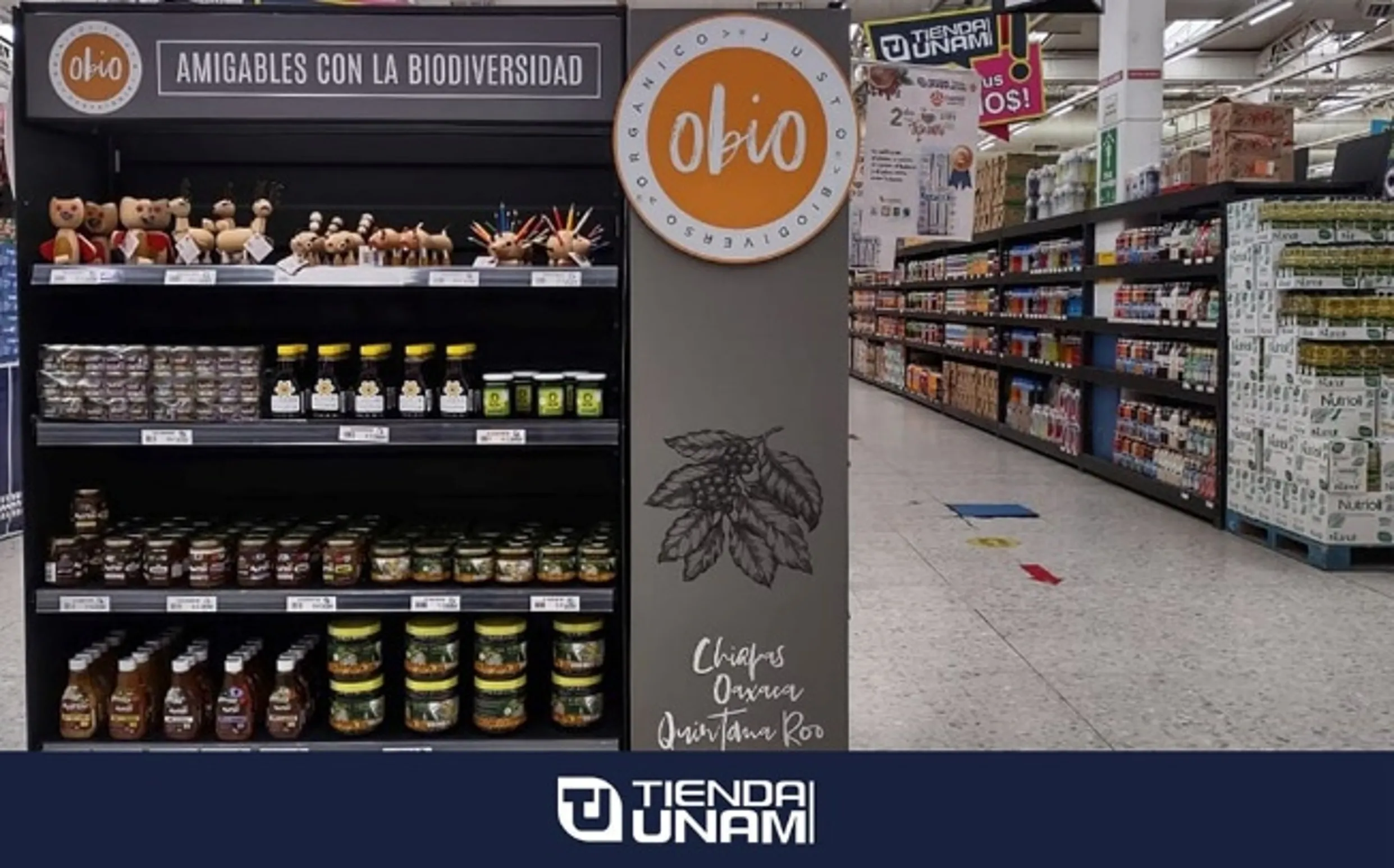 Miel Apiflor en Tienda UNAM, Ciudad Universitaria